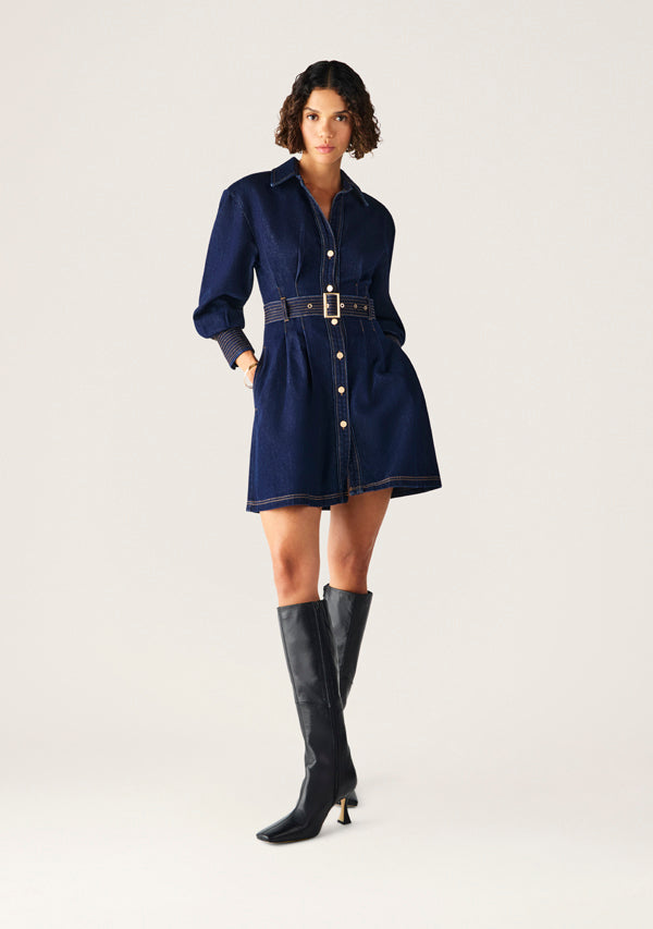 Sia Denim Mini Dress