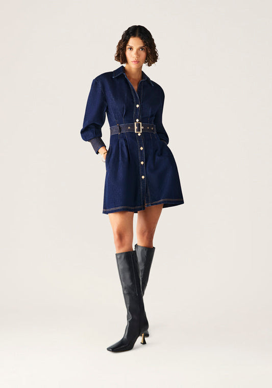 Sia Denim Mini Dress