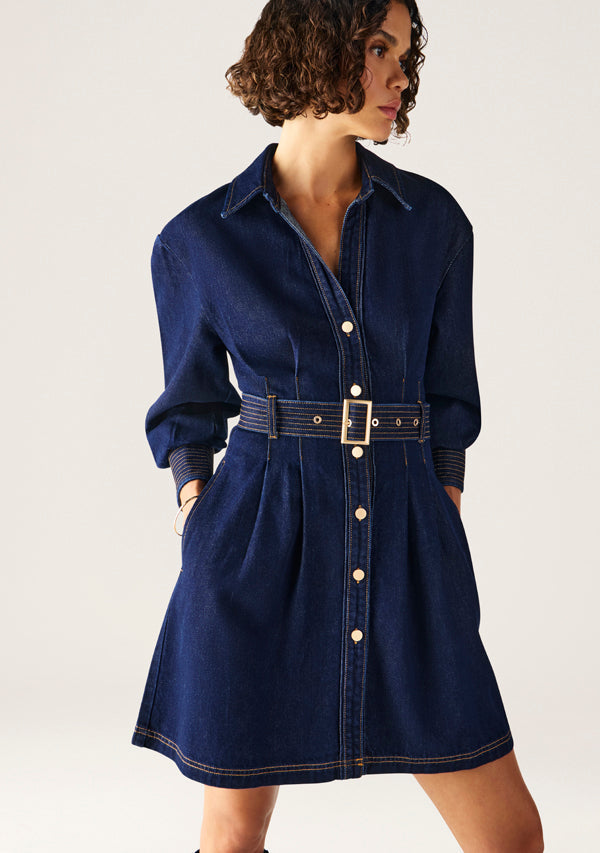 Sia Denim Mini Dress