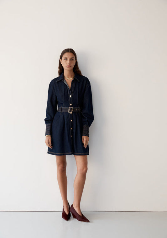 Sia Denim Mini Dress