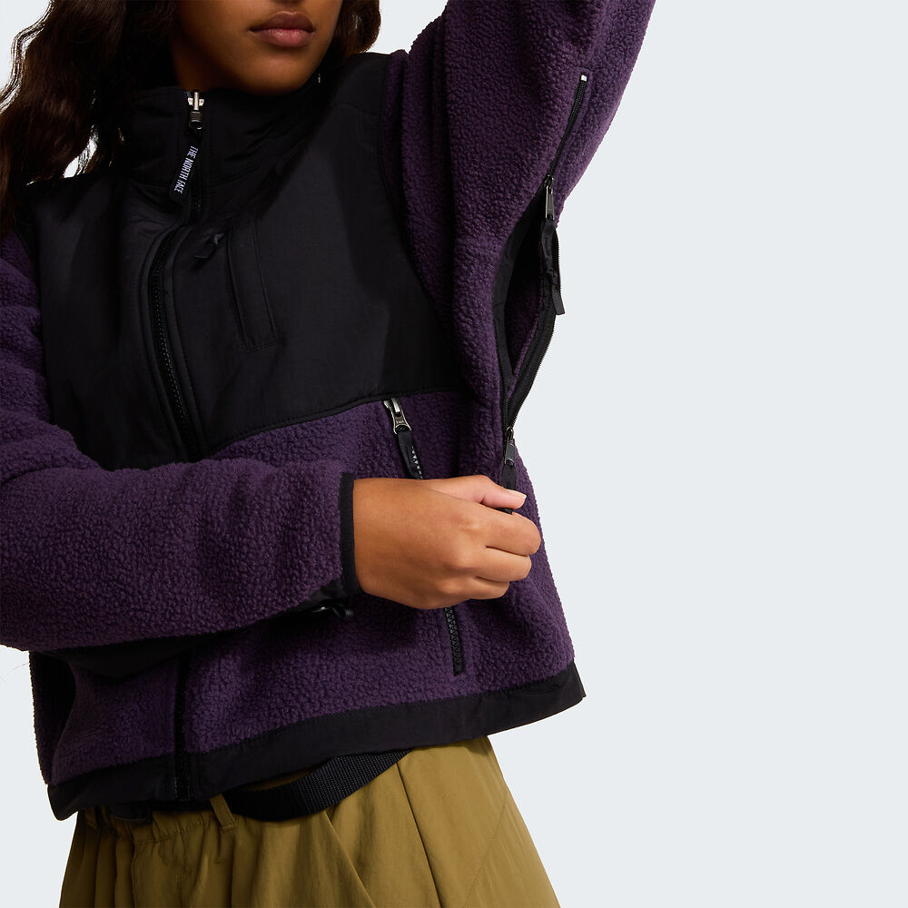 Women's Retro Denali Fleece Jacket
