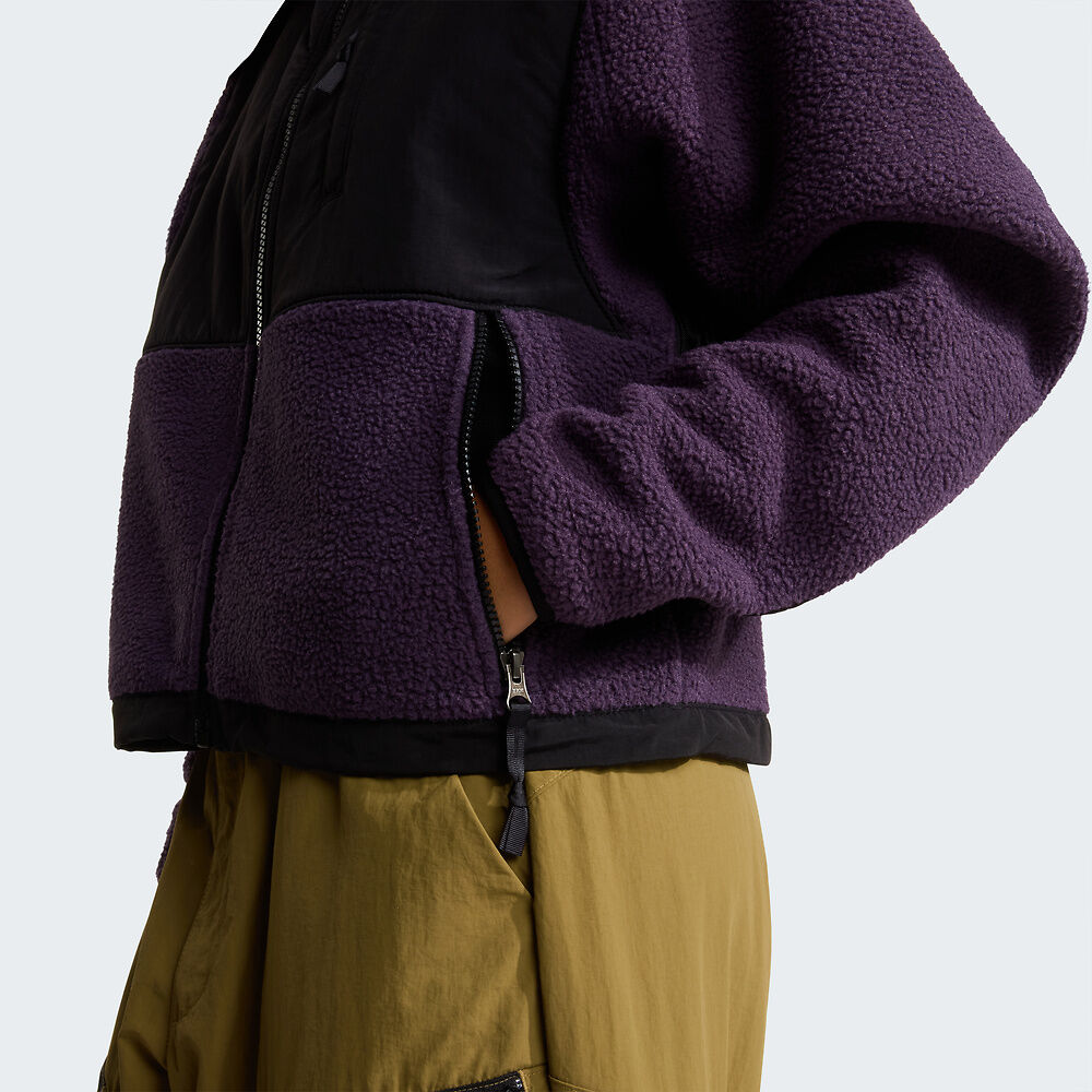 Women's Retro Denali Fleece Jacket