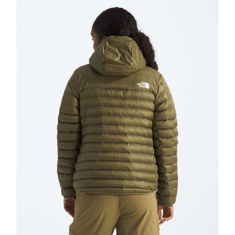 Women's Terra Peak Hooded Jacket