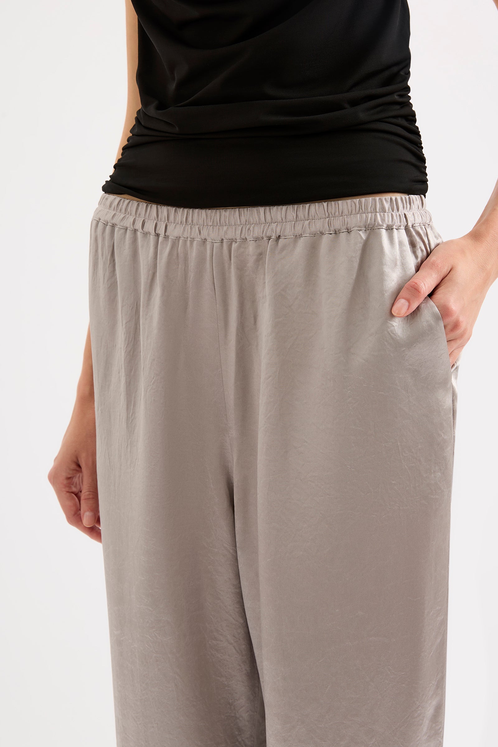 ANA PANT